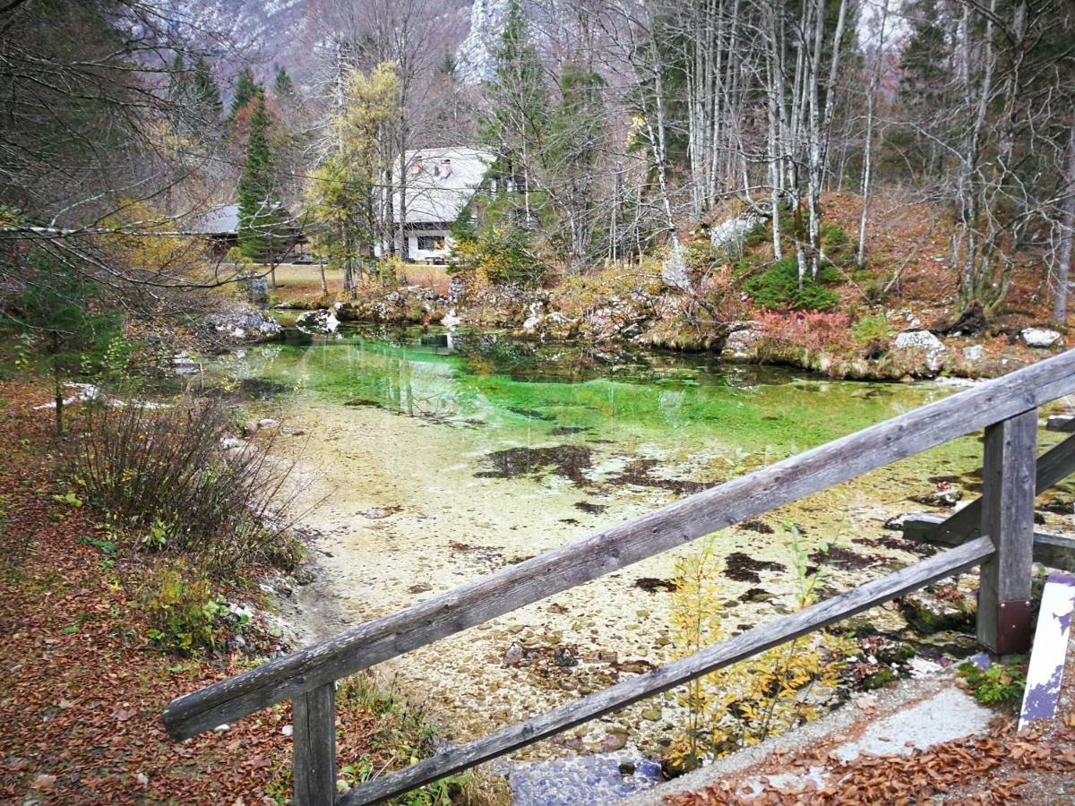 Planika B&M Apartment Bohinj Luaran gambar