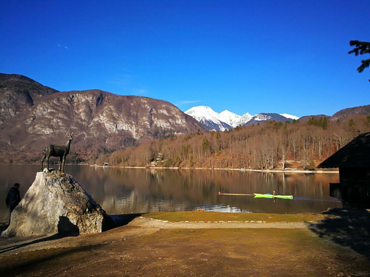Planika B&M Apartment Bohinj Luaran gambar