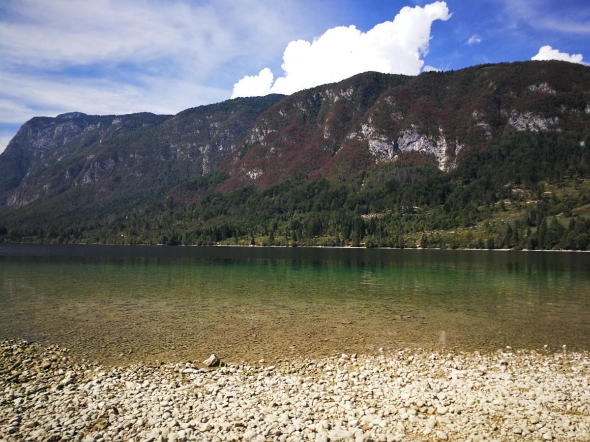 Planika B&M Apartment Bohinj Luaran gambar